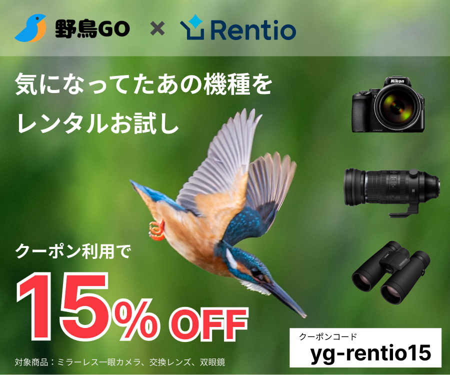 Rentio Coupon