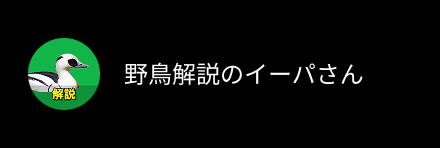 野鳥解説のイーパさん