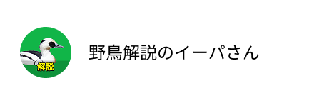 野鳥解説のイーパさん
