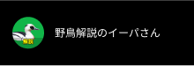 野鳥解説のイーパさん