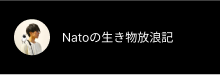 NATOの生き物放浪記